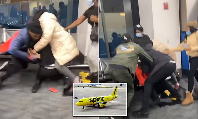 Two Spirit Airlines Passengers Arrested After Brawling With Gate Agents In Detroit Daily Mail